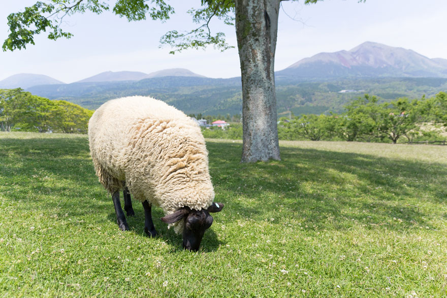 土木工事テスト投稿4