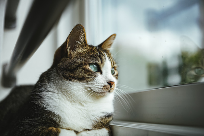 建築工事テスト投稿1