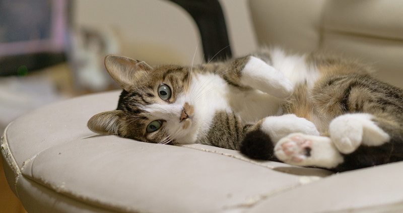 土木工事テスト投稿6